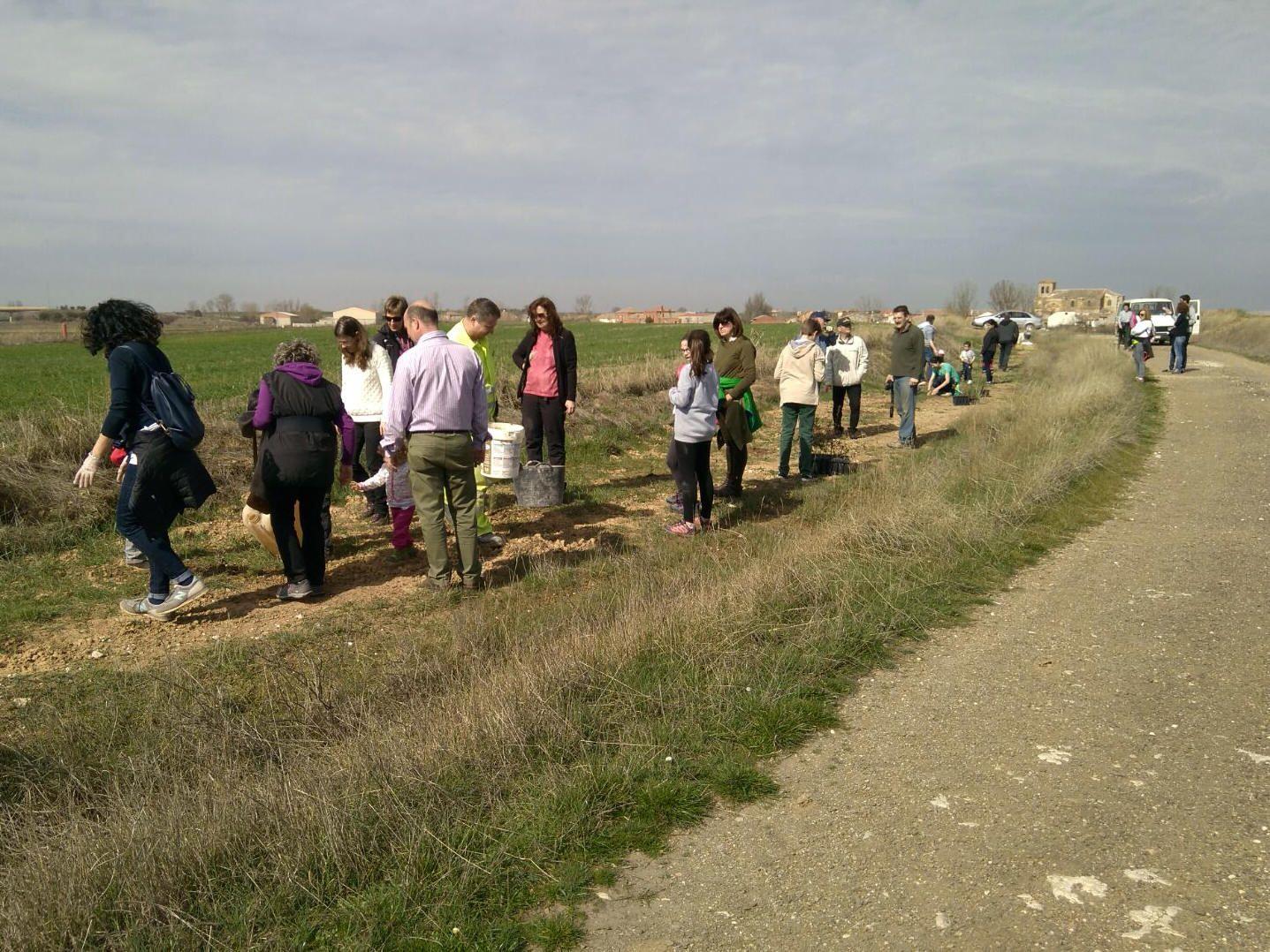 Plantación de árboles y jijas